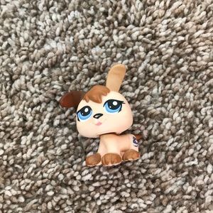 5 Littlest pet shop toys
